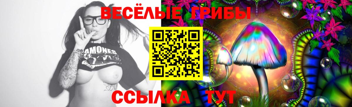 Псилоцибиновые грибы Psilocybine cubensis  Вход с VPN  Ржев 